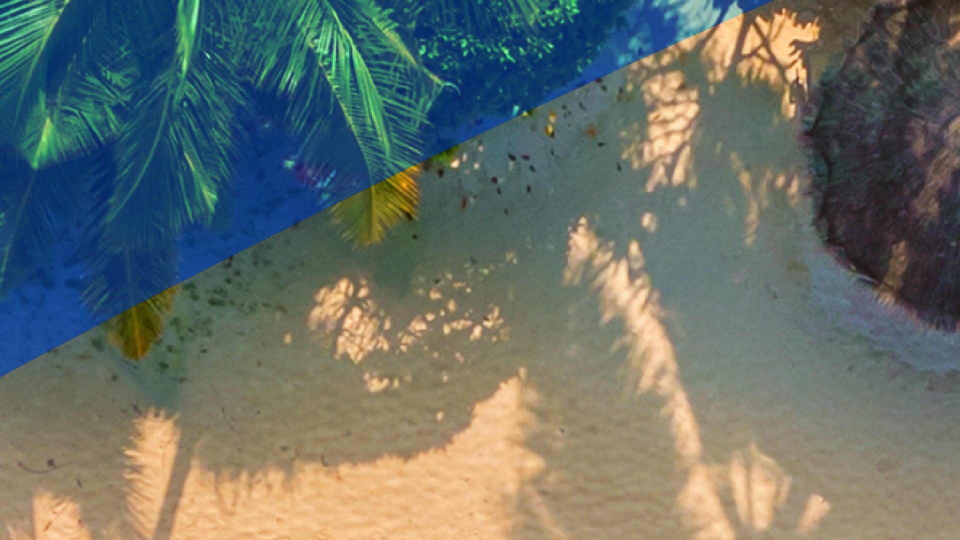 Parte 1 de la imagen