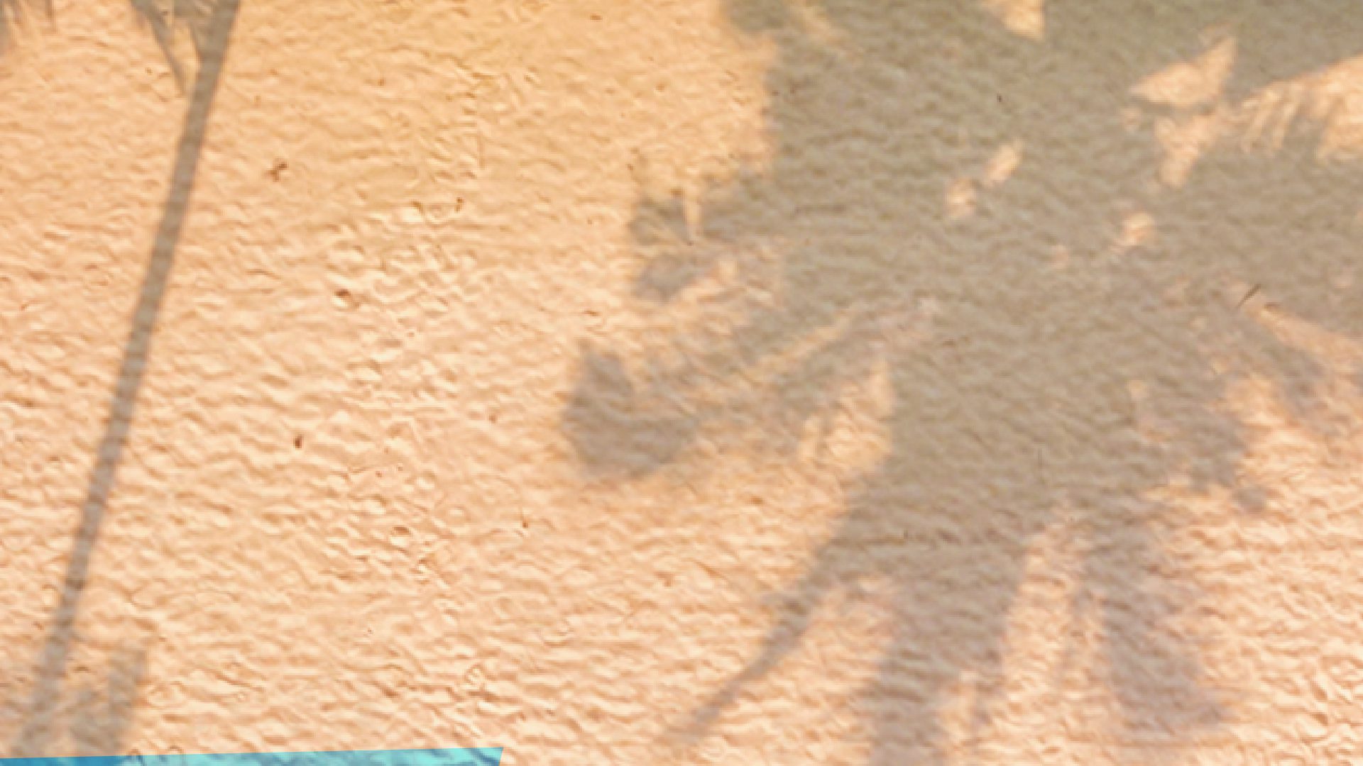 Parte 2 de la imagen